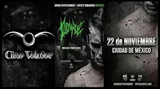 Doyle | Ciudad de México