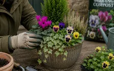 Winter Container Workshop