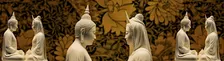 Despertar Juntos — retiro de Vipassana com Ayya Anopama