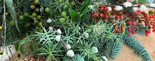 Christmas Wreath Workshop