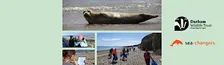 Sea Rangers: Habitat management / bird survey