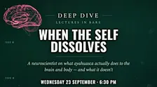 When the Self Dissolves: What Ayahuasca Does to the Brain and Body