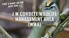 Take a Walk on the Wild Side at J W Corbett Wildlife Management Area