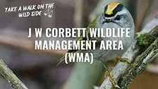 Take a Walk on the Wild Side at J W Corbett Wildlife Management Area