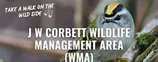 Take a Walk on the Wild Side at J W Corbett Wildlife Management Area