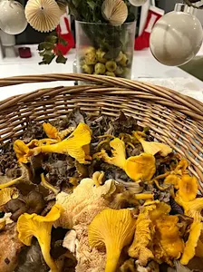15th Nov 2026: Autumn Foraging & Feast Workshop