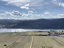 Fresh Air: The Role of Oxygen in Cellaring and Serving Wine