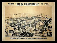 Vintage Irish Whiskey Tasting