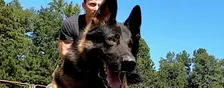Commonwealth K-9 Classic
