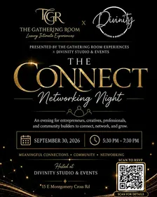 The Connect: Networking Night