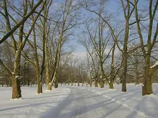 Winter Solstice Walk