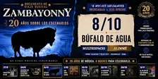Bufalo de Agua