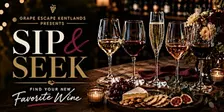 Grape Escape Kentlands Presents: Sip & Seek