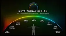 Longevity Night – Dein Cellular-Age-Check live