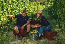 GREECE UNCORKED: FINE WINE & MEDITERRANEAN PLATES