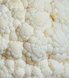 ZERO SPRECHI - Workshop di cucina
