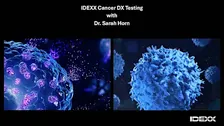 IDEXX Cancer Dx Testing, 111 Chop House