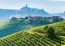 Discover the Wines of Piemonte, Italy