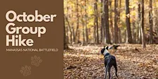 #TravelWithOllie: October Group Hike