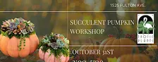Halloween Pumpkin Arrangement Workshop