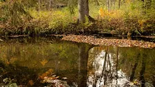 Autumn Discovery Hike