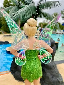 Pixie Hollow Flitterific Fairy Party