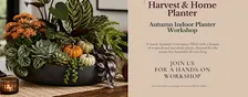 Harvest & Home Indoor Planter