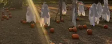 IL CAMPO DI ZUCCHE YOU-PICK A GALBIATE HALLOWEEN IN RIVA AL LAGO