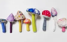 Mushroom Sewing Workshop
