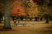 Columbus Georgia Uptown Mystery Quest