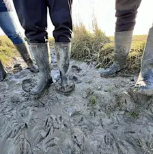 Grenslandschappen in Transitie