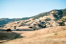 Joyfully Rooted Wellness Retreat