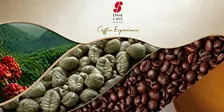 Coffee Experience "Dal chicco di caffè alla tazzina"