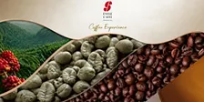 Coffee Experience "Dal chicco di caffè alla tazzina"