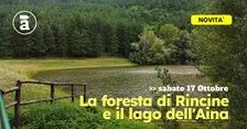La foresta di Rincine e il Lago dell'Aina