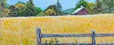 Paint the Field of Dreams in a workshop guided by your local artist