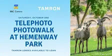 Tamron Presents: Telephoto Photowalk at Hemenway Park