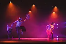 Feather & Flesh: Contemporary Aboriginal dance & workshop