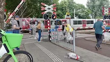 Cleanup: Groene longen en veenweiden van Ommoord