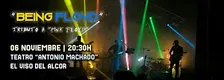 "Being Floyd" en concierto . Banda Tributo a "Pink Floyd".