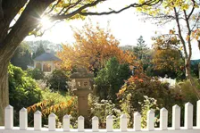 Autumnal Garden Tour with Horticulture Director Andi Pettis