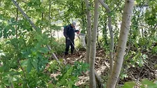 Cleanup: In het groen van het Schieplein!