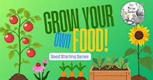 Grow Your Own Food: Seed Starting Series!