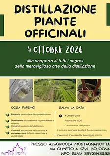 DISTILLAZIONE PIANTE OFFICINALI