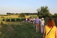 Marche du Temps Profond