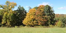 Fall Foliage Hike