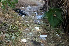 Mid-Week Cleanup at Wren Drive on Guadalupe River