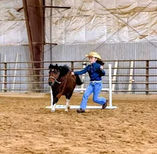 Mini Horse Moments Private Lessons