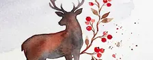 Drink & Draw (BYOB) Festive Watercolour Postcards