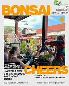 Bonsai & Cheers at Intracoastal Brewing | Umbrella Tree Workshop